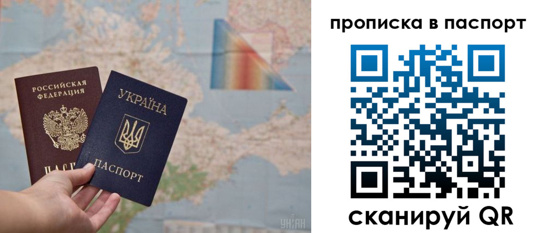прописка поиск в Льгове